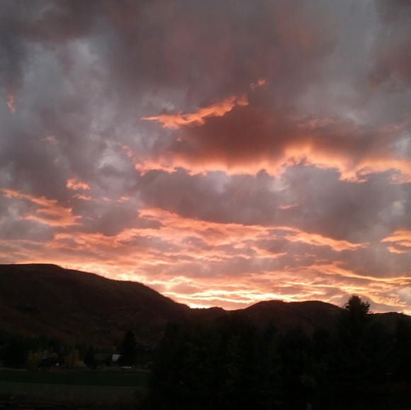 Meet your Posher, Leone - Picture 12 of 14